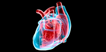 Diagnostics  Free Full-Text  Qualitative and Quantitative Stress  Perfusion Cardiac Magnetic Resonance in Clinical Practice A Comprehensive  Review